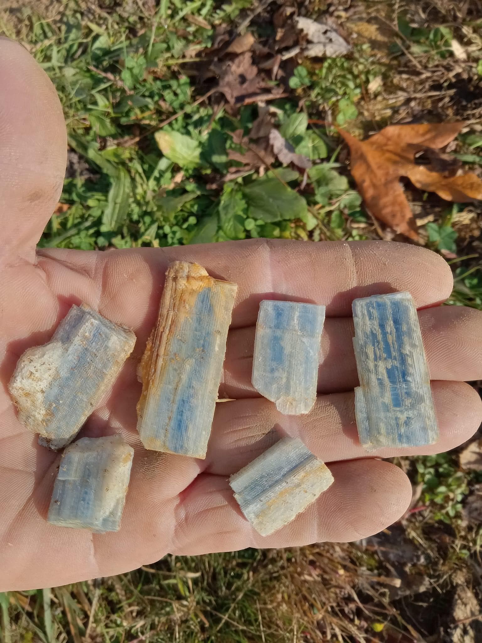 Small Kyanite in hand